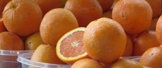 Florida Oranges
