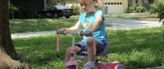 Wordless Wednesday July 18